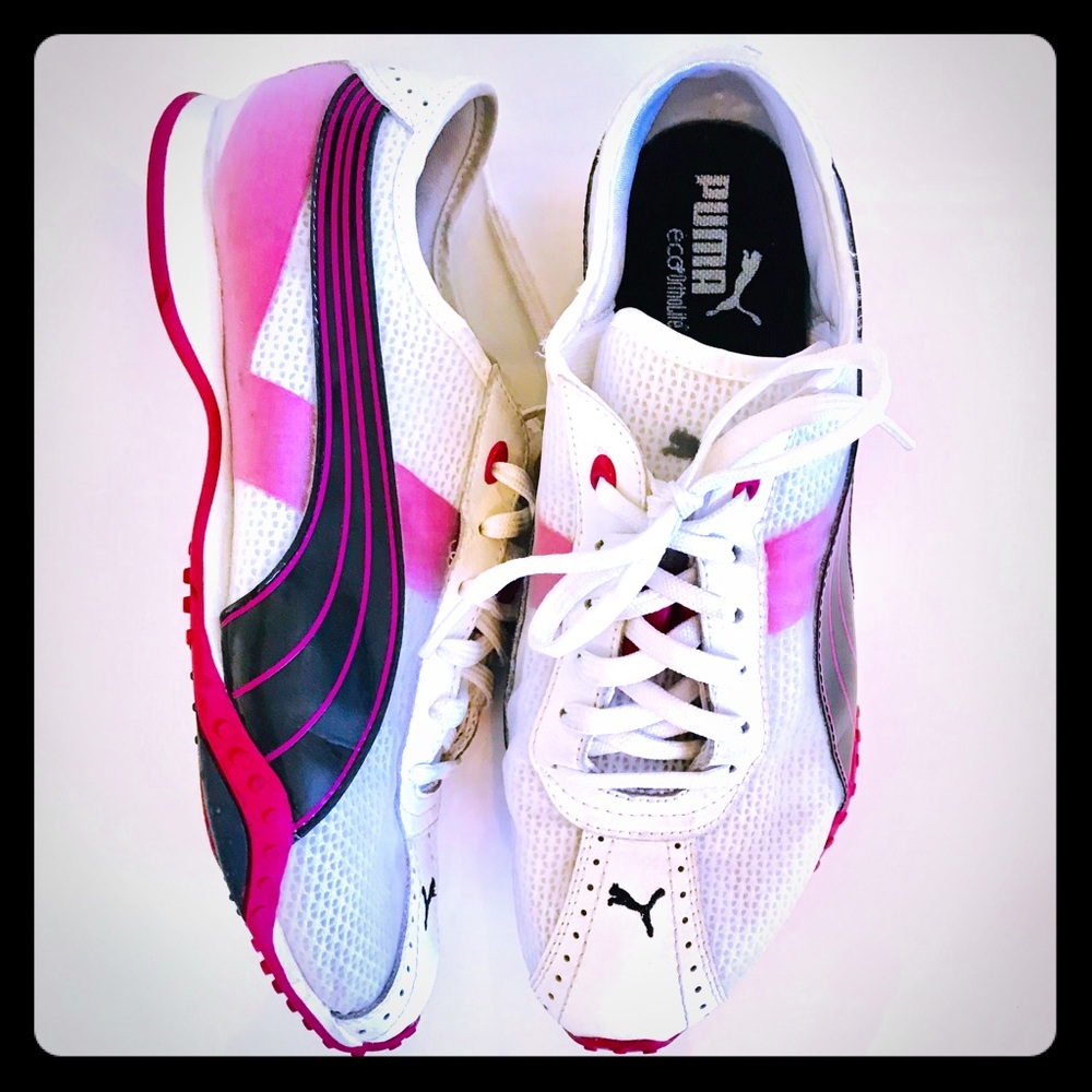 Pink Puma